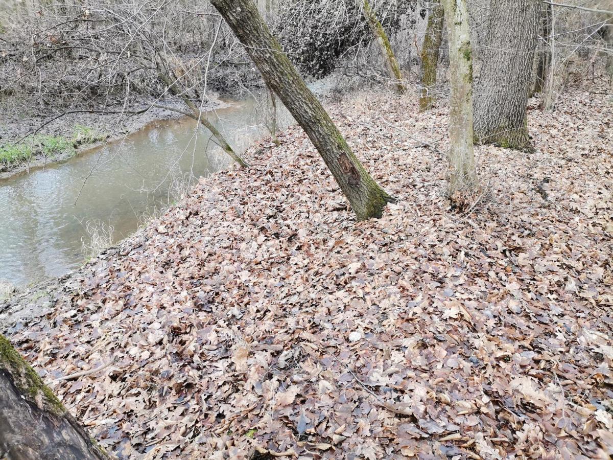 Ókerka Vendégház Csesztreg Exterior foto